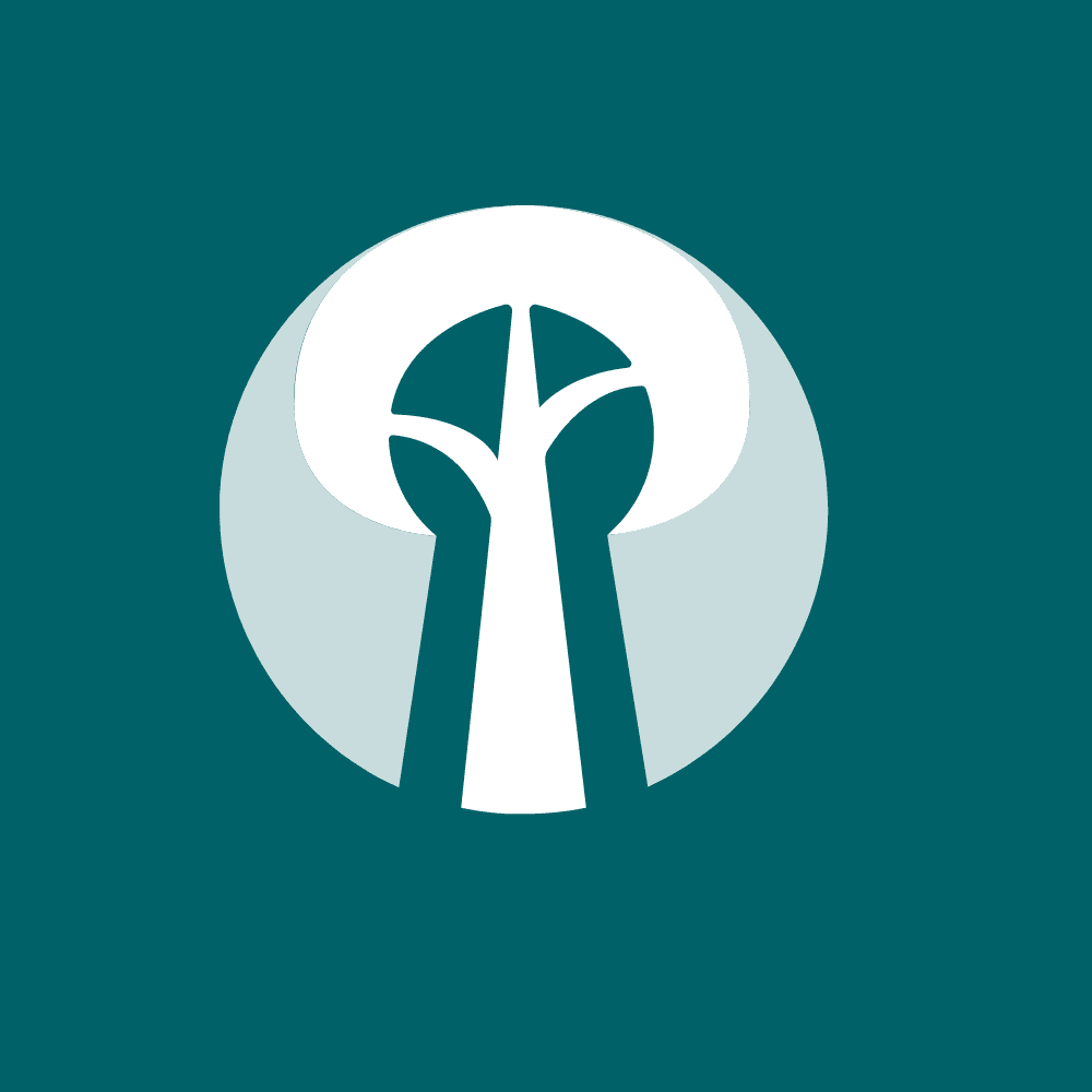 TreeApp im Wandel – Refactoring für die Zukunft des Waldes Cover